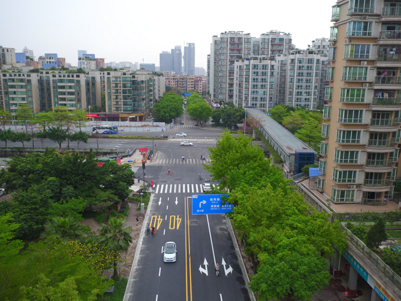 天津市滨海新区港城大道中心路通车仪式活动策