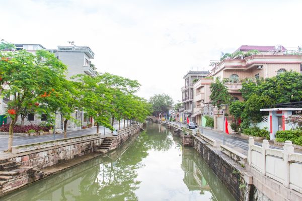 30名北滘籍旅港乡亲回乡寻商机 感叹北滘喜人变化