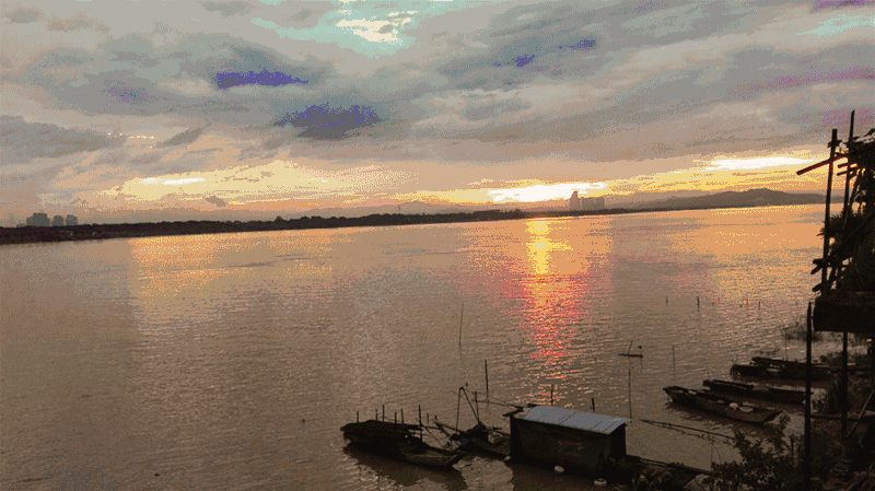 最新鲜的葡萄,无花果…南海这个绝世小岛进入最好玩的