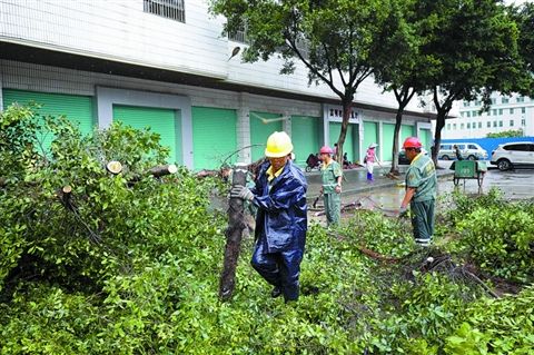 高明荷城人口_佛山打造魅力西江水都