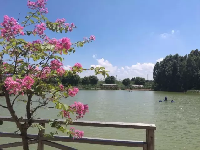 这家藏在狮山的隐世生态园,有好山好水,还有