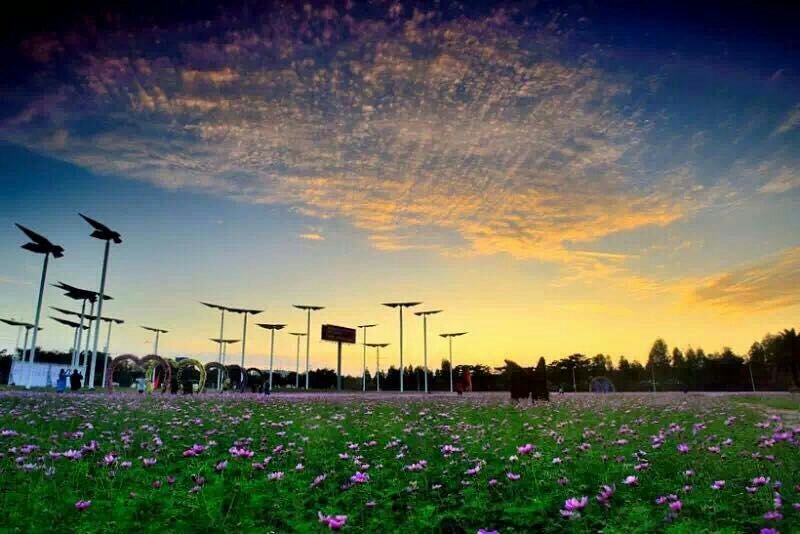 2017佛山市民最喜爱的农业公园命名活动:广