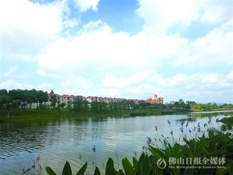 高明治水再投8.3亿 提升管网体系_佛山在线