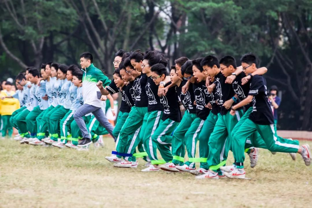 南海执信中学艺术生考取艺术名校探索