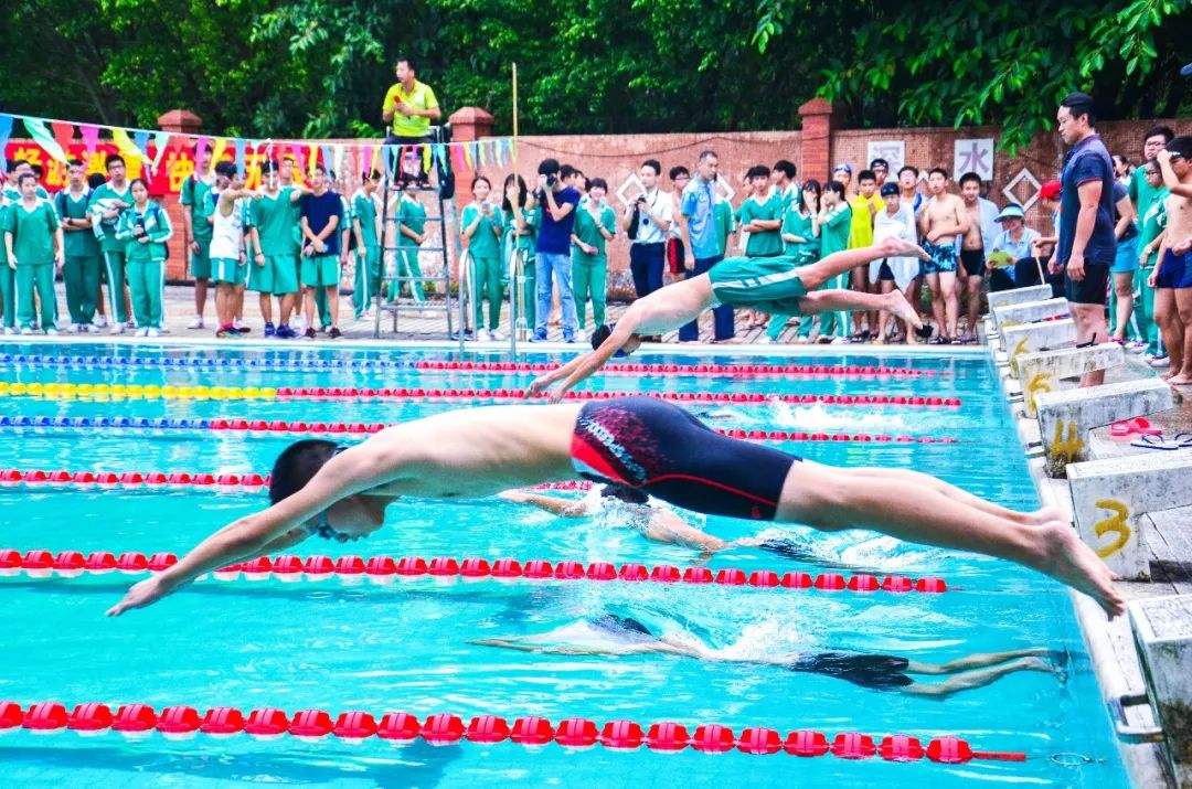 南海执信中学艺术生考取艺术名校探索