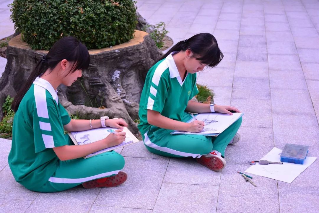 南海执信中学艺术生考取艺术名校探索