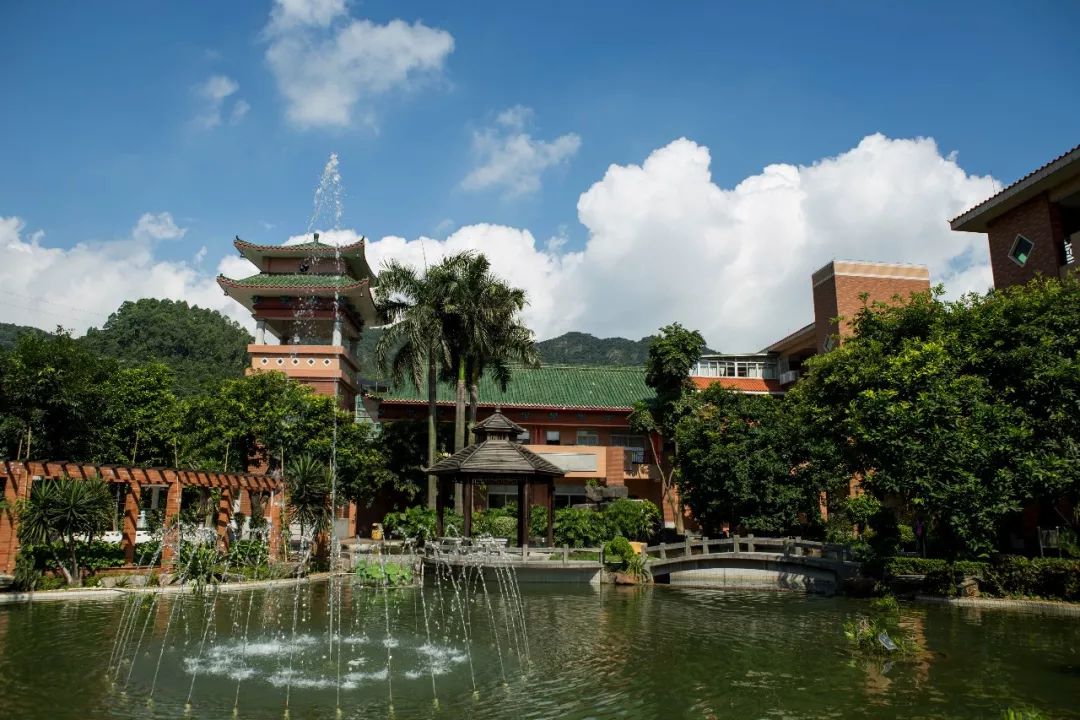 南海执信中学艺术生考取艺术名校探索