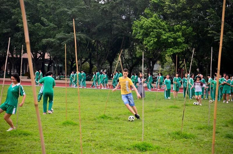 南海执信中学艺术生考取艺术名校探索