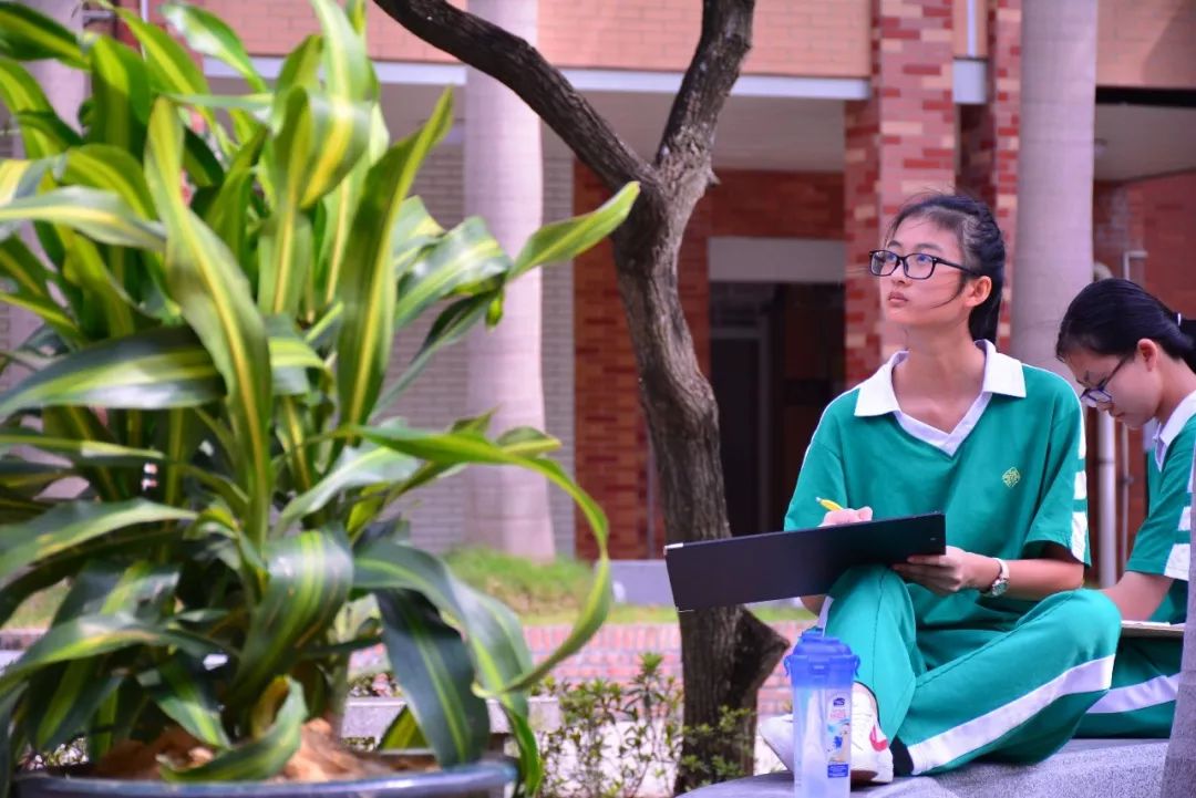 南海执信中学艺术生考取艺术名校探索