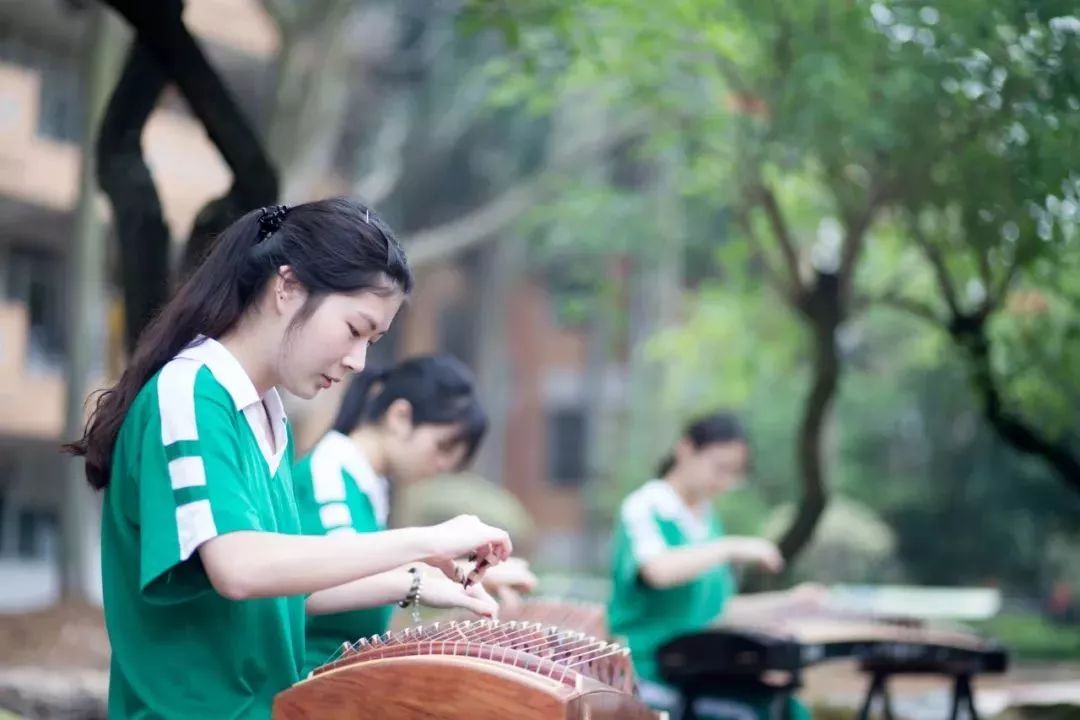 南海执信中学艺术生考取艺术名校探索