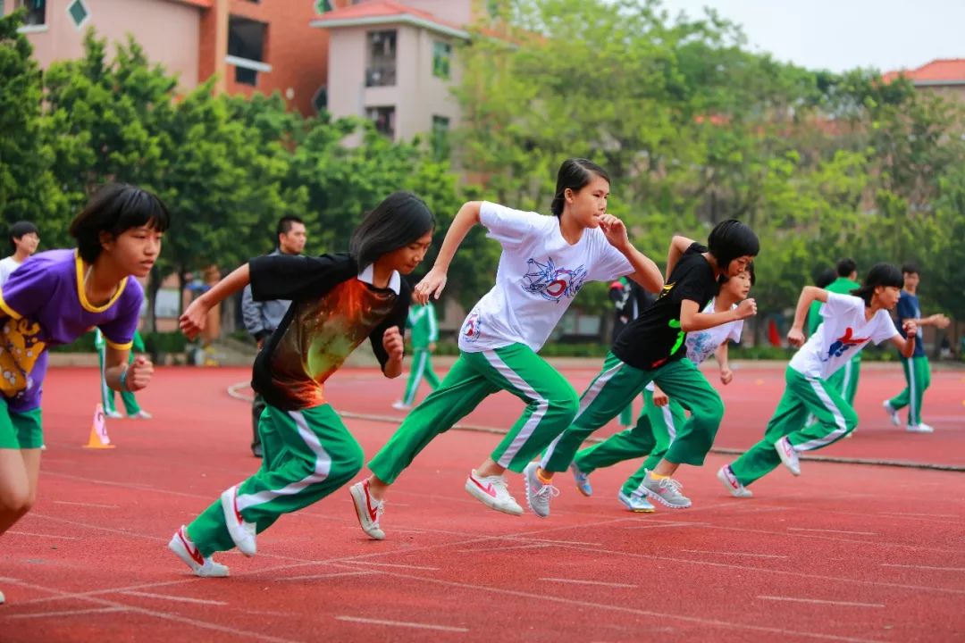南海执信中学艺术生考取艺术名校探索
