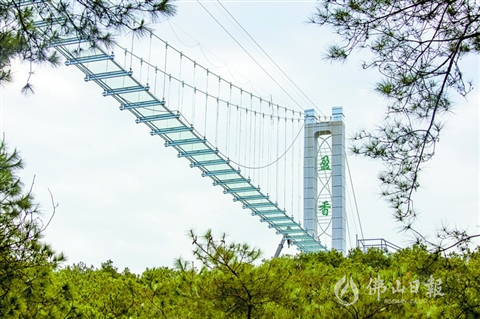 凌云飞渡玻璃桥国庆开放 为广佛第一座开放的玻璃桥