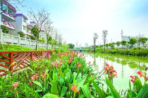 做大做优做强中心城区 镇街何为?(下)