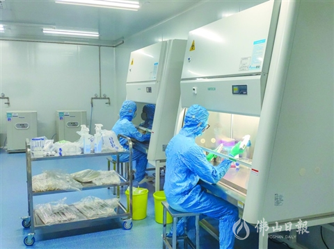 三龙湾启建全市首个P3实验室