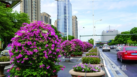 禅城区城市管理和综合执法局首次制定城市管理系统五年规划