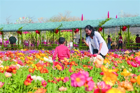 春节期间，高明主要景区接待游客超30万人次