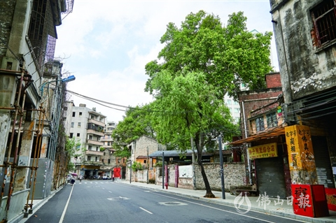 品城|快子路：古色古香 禅城最有年味的老街
